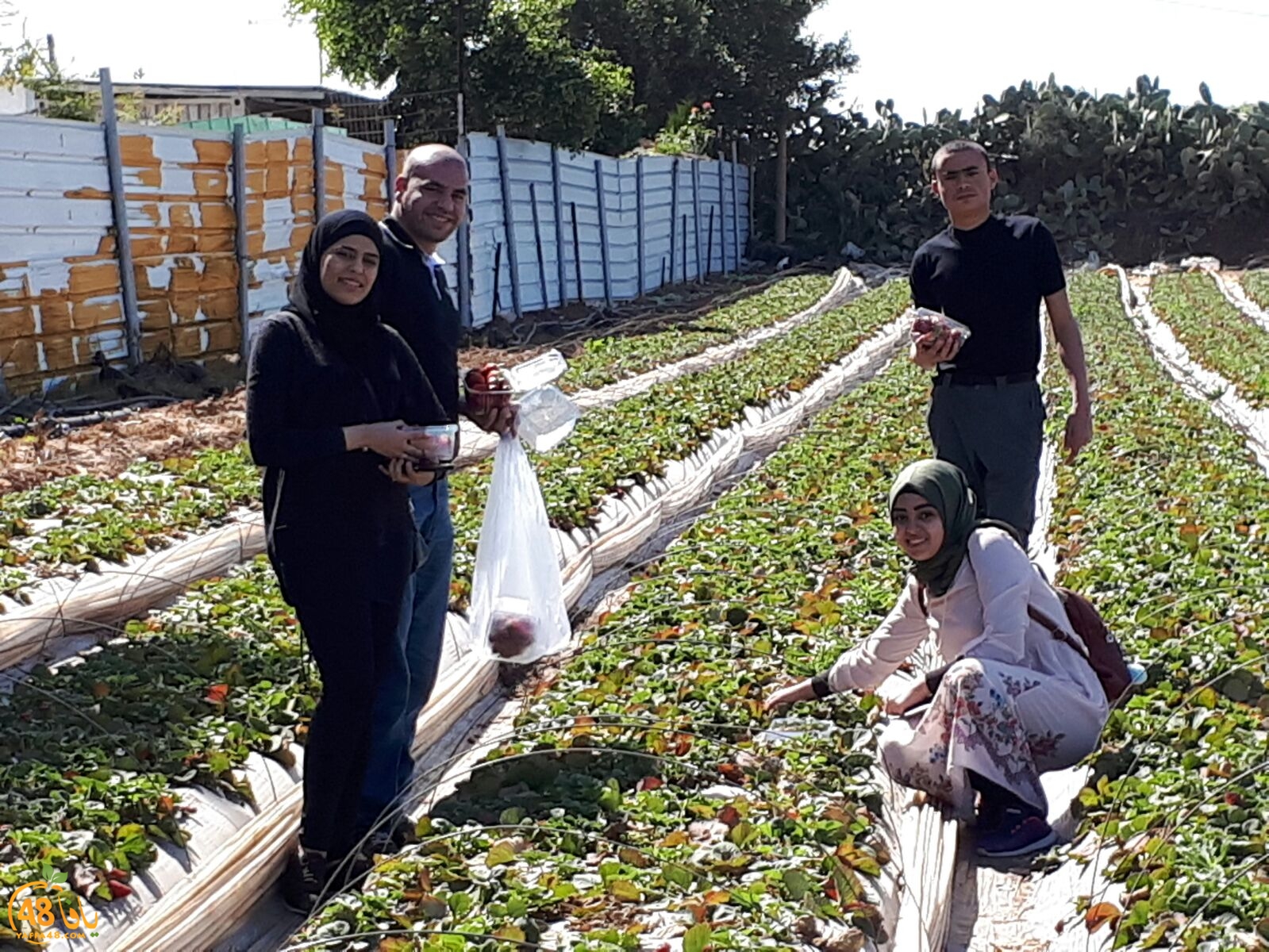 ab7bableaqsaa3 (26).jpg